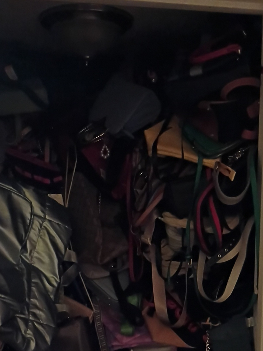 Multicolor Hanging Closet Organizer for Handbags & Belts